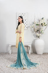 Tawakkal Tanzil Collection Ready To Wear Trouser Suit D-2760